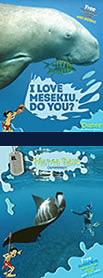 Dugong and Manta Activity Booklet