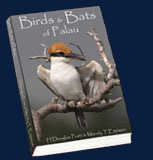 Birds & Bats of Palau - NECO MARINE - PALAU
