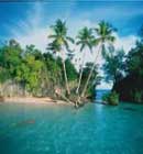 Fantasy Reef Rock Island Palau - NECO MARINE - PALAU